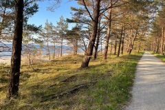 IMG_9391