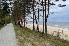 IMG_9392
